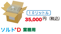 �\���gD(10���b�g��)�Ɩ��p